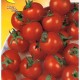 Seminte Tomate Red Cherry